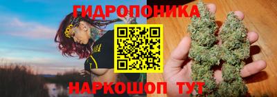 мдпв Вышний Волочёк