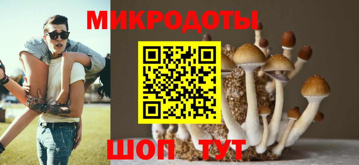 Новочеркасск  где можно купить   Вход с VPN  Галлюциногенные грибы GOLDEN TEACHER 